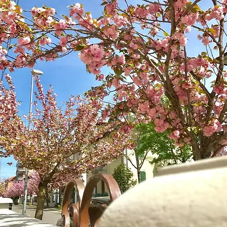Liberty And Breakfast Guest house Borgo Val di Taro