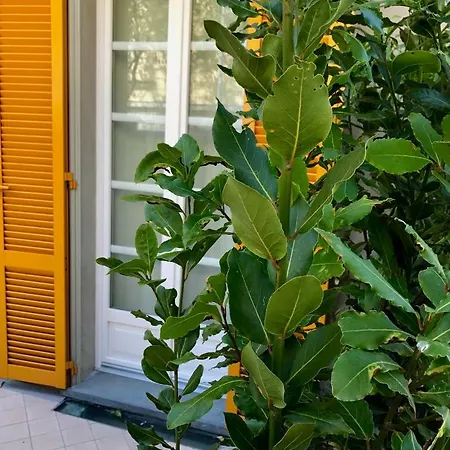 Liberty And Breakfast 3* Borgo Val di Taro